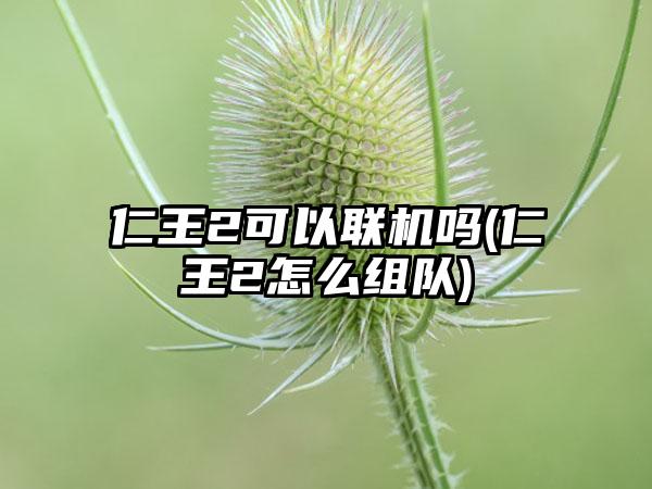 仁王2可以联机吗(仁王2怎么组队)