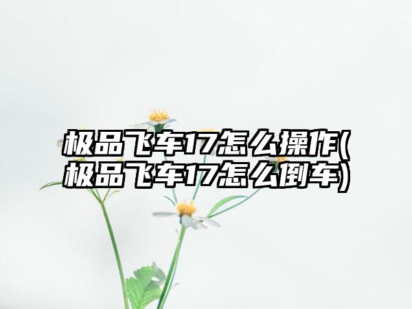 极品飞车17怎么操作(极品飞车17怎么倒车)