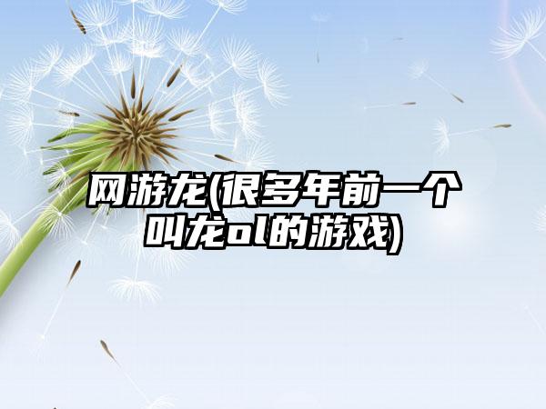 网游龙(很多年前一个叫龙ol的游戏)