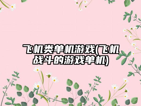 飞机类单机游戏(飞机战斗的游戏单机)