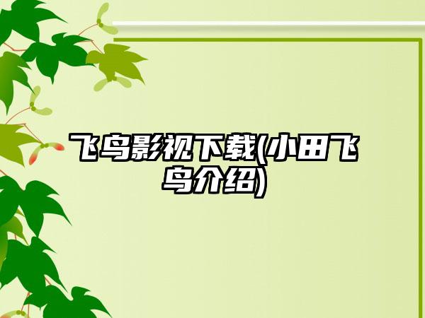 飞鸟影视下载(小田飞鸟介绍)