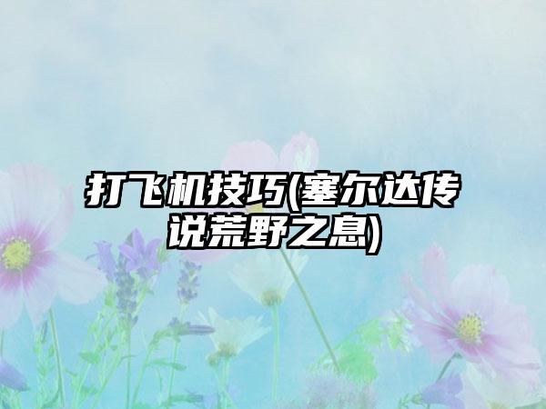 打飞机技巧(塞尔达传说荒野之息)