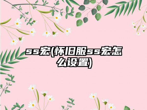 ss宏(怀旧服ss宏怎么设置)