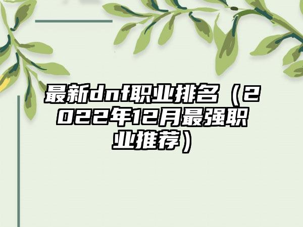 最新dnf职业排名（2022年12月最强职业推荐）