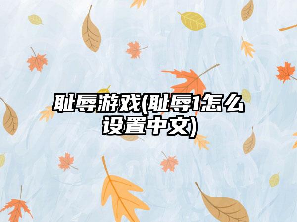 耻辱游戏(耻辱1怎么设置中文)
