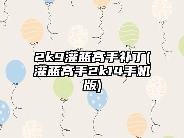 2k9灌篮高手补丁(灌篮高手2k14手机版)