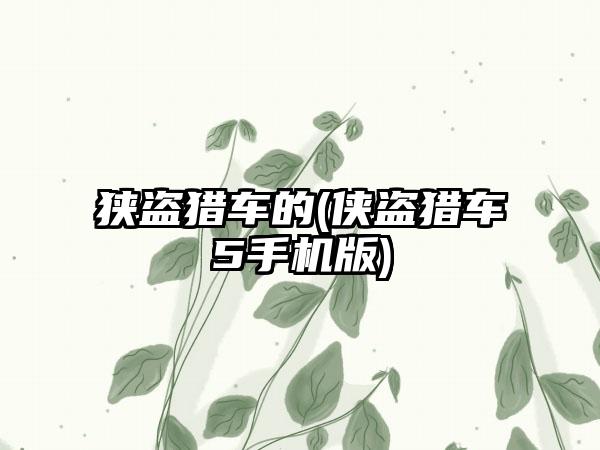 狭盗猎车的(侠盗猎车5手机版)