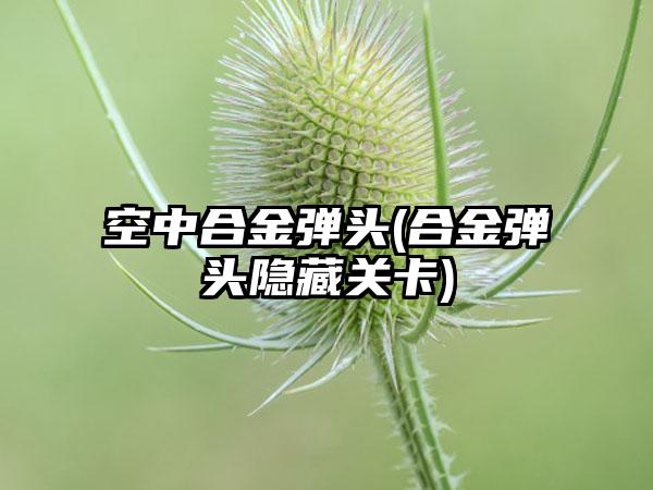 空中合金弹头(合金弹头隐藏关卡)