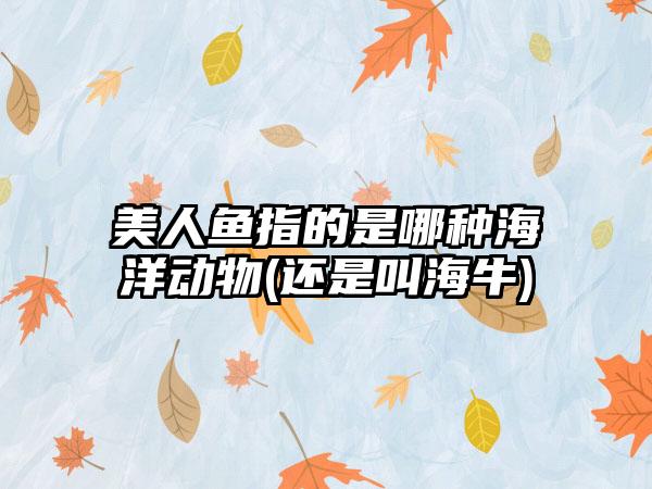 美人鱼指的是哪种海洋动物(还是叫海牛)