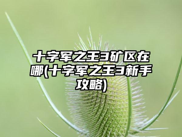 十字军之王3矿区在哪(十字军之王3新手攻略)