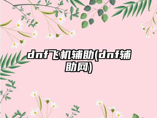 dnf飞机辅助(dnf辅助网)