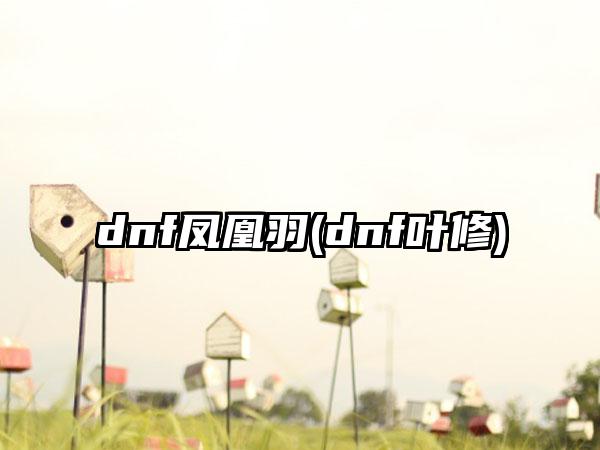 dnf凤凰羽(dnf叶修)