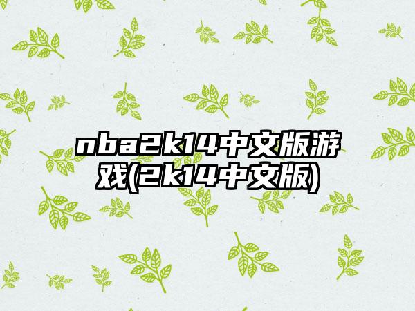 nba2k14中文版游戏(2k14中文版)