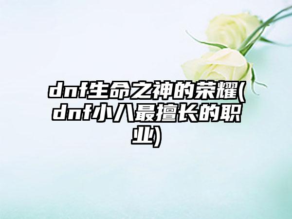 dnf生命之神的荣耀(dnf小八最擅长的职业)