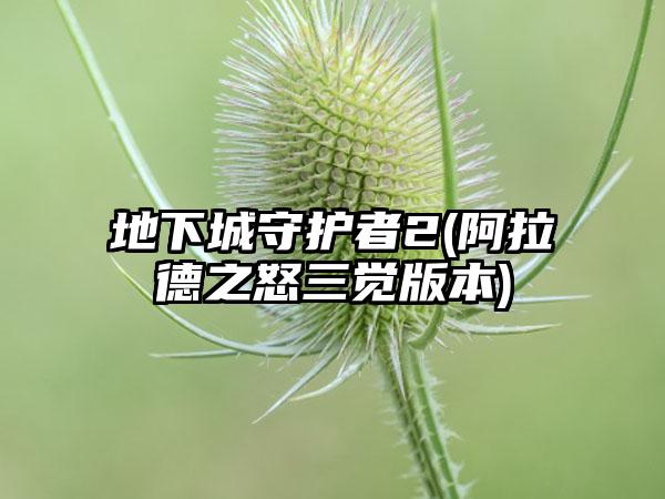地下城守护者2(阿拉德之怒三觉版本)