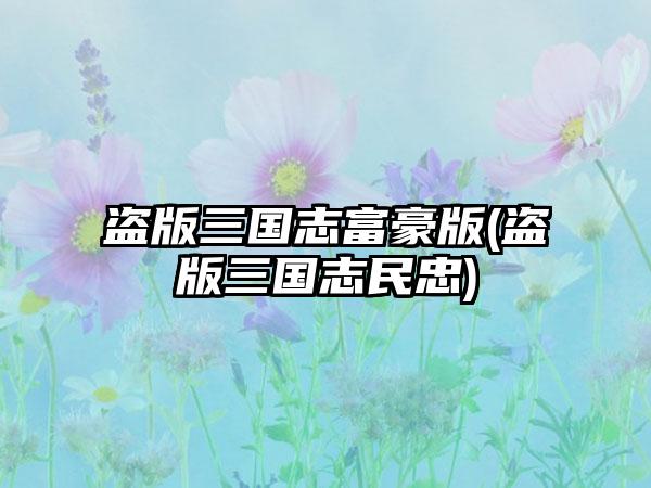盗版三国志富豪版(盗版三国志民忠)