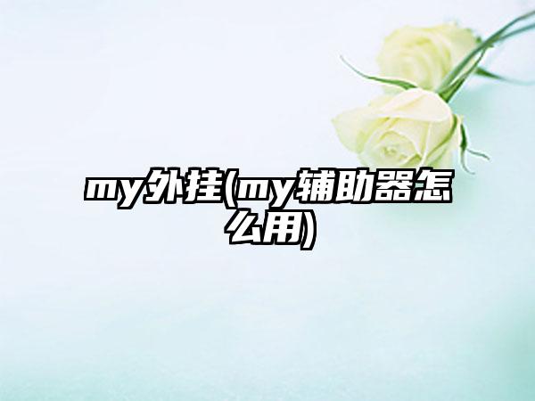 my外挂(my辅助器怎么用)