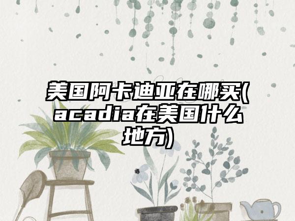 美国阿卡迪亚在哪买(acadia在美国什么地方)