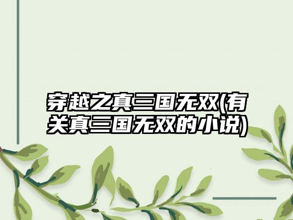 穿越之真三国无双(有关真三国无双的小说)
