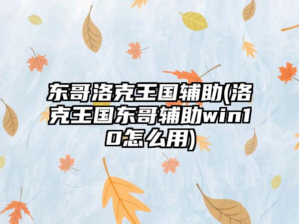 东哥洛克王国辅助(洛克王国东哥辅助win10怎么用)