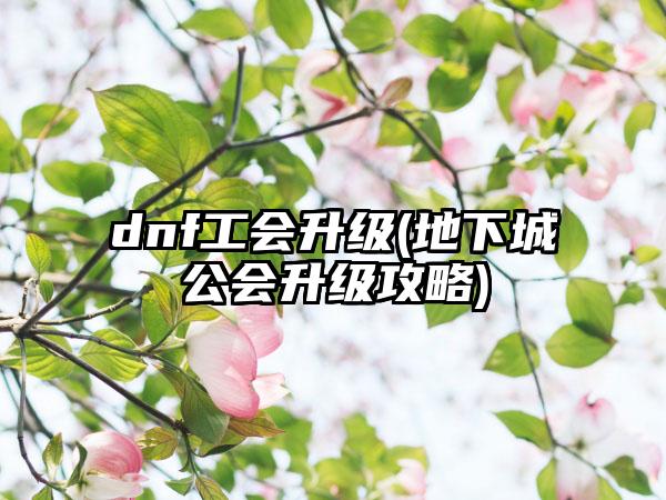 dnf工会升级(地下城公会升级攻略)