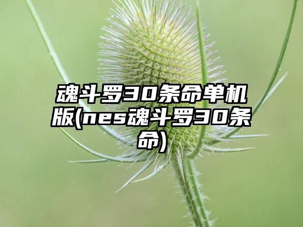 魂斗罗30条命单机版(nes魂斗罗30条命)