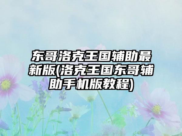 东哥洛克王国辅助最新版(洛克王国东哥辅助手机版教程)