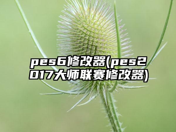 pes6修改器(pes2017大师联赛修改器)