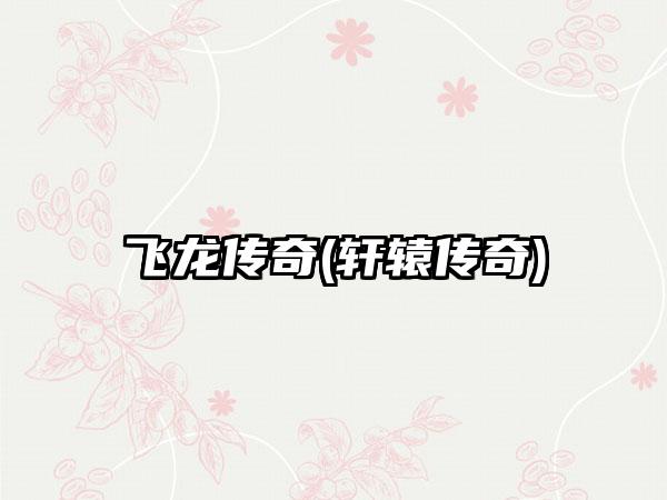 飞龙传奇(轩辕传奇)