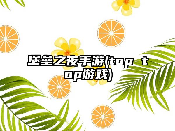 堡垒之夜手游(top top游戏)
