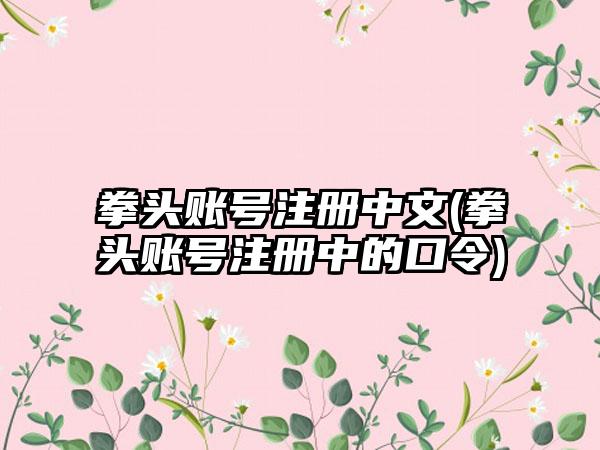 拳头账号注册中文(拳头账号注册中的口令)