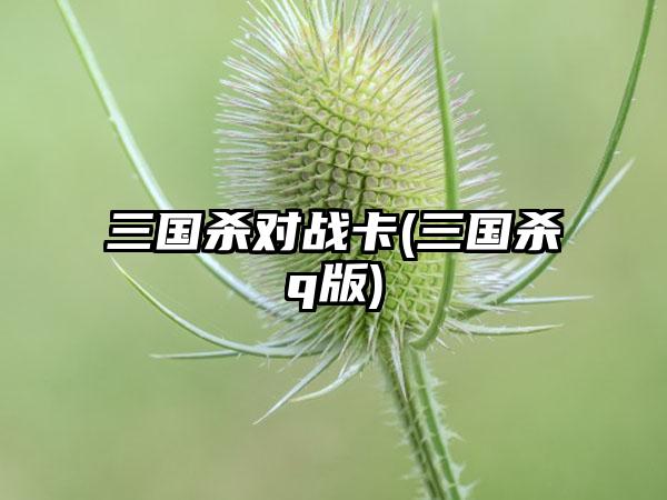 三国杀对战卡(三国杀q版)