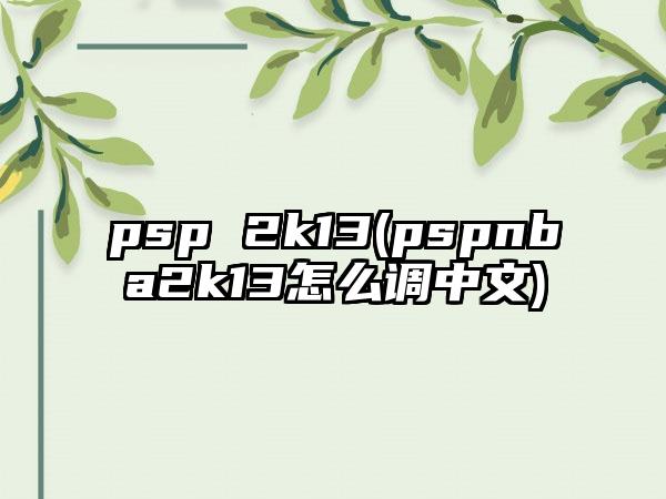 psp 2k13(pspnba2k13怎么调中文)