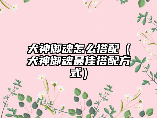 犬神御魂怎么搭配（犬神御魂最佳搭配方式）