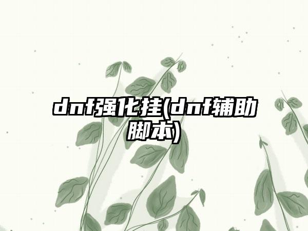 dnf强化挂(dnf辅助脚本)