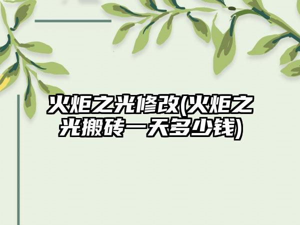 火炬之光修改(火炬之光搬砖一天多少钱)