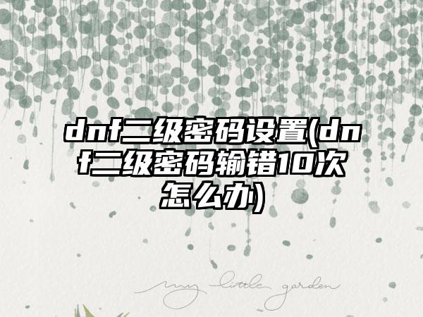 dnf二级密码设置(dnf二级密码输错10次怎么办)