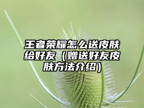 王者荣耀怎么送皮肤给好友（赠送好友皮肤方法介绍）