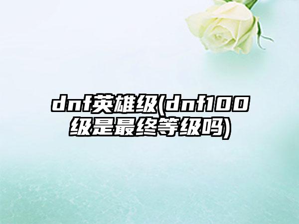 dnf英雄级(dnf100级是最终等级吗)
