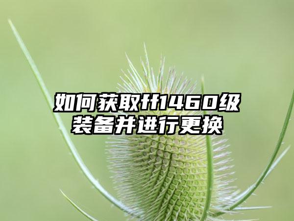 如何获取ff1460级装备并进行更换