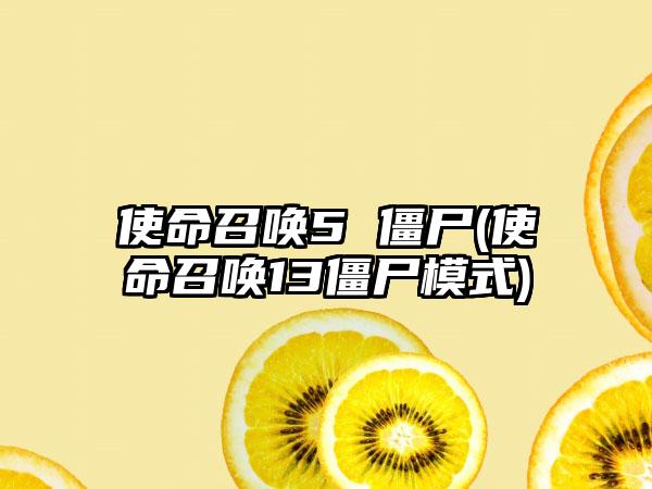 使命召唤5 僵尸(使命召唤13僵尸模式)