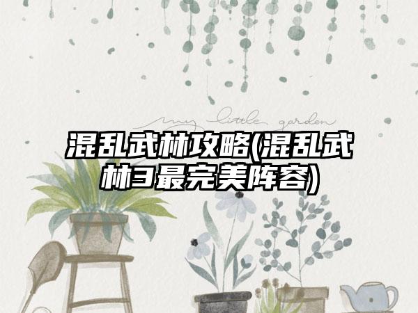 混乱武林攻略(混乱武林3最完美阵容)