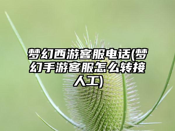 梦幻西游客服电话(梦幻手游客服怎么转接人工)