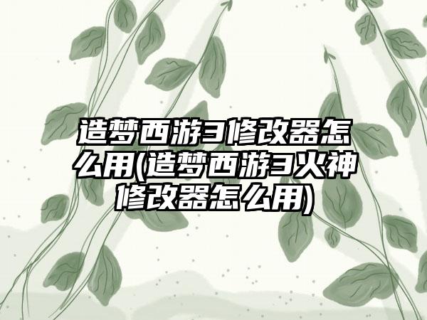 造梦西游3修改器怎么用(造梦西游3火神修改器怎么用)