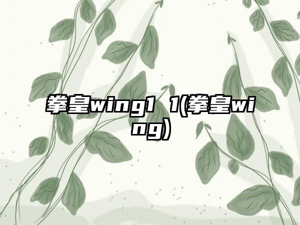 拳皇wing1 1(拳皇wing)