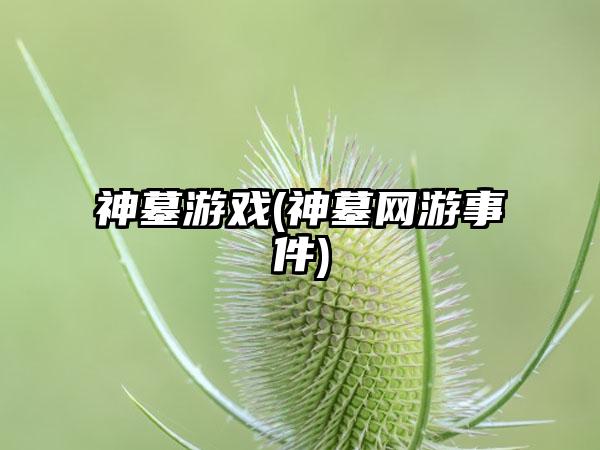 神墓游戏(神墓网游事件)
