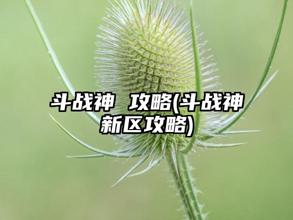 斗战神 攻略(斗战神新区攻略)