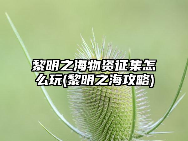 黎明之海物资征集怎么玩(黎明之海攻略)