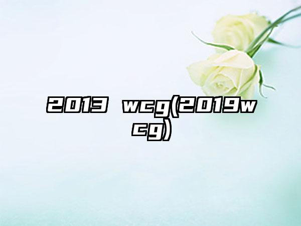 2013 wcg(2019wcg)