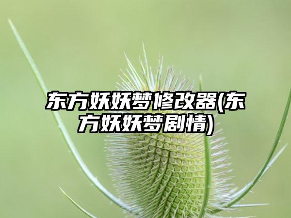 东方妖妖梦修改器(东方妖妖梦剧情)